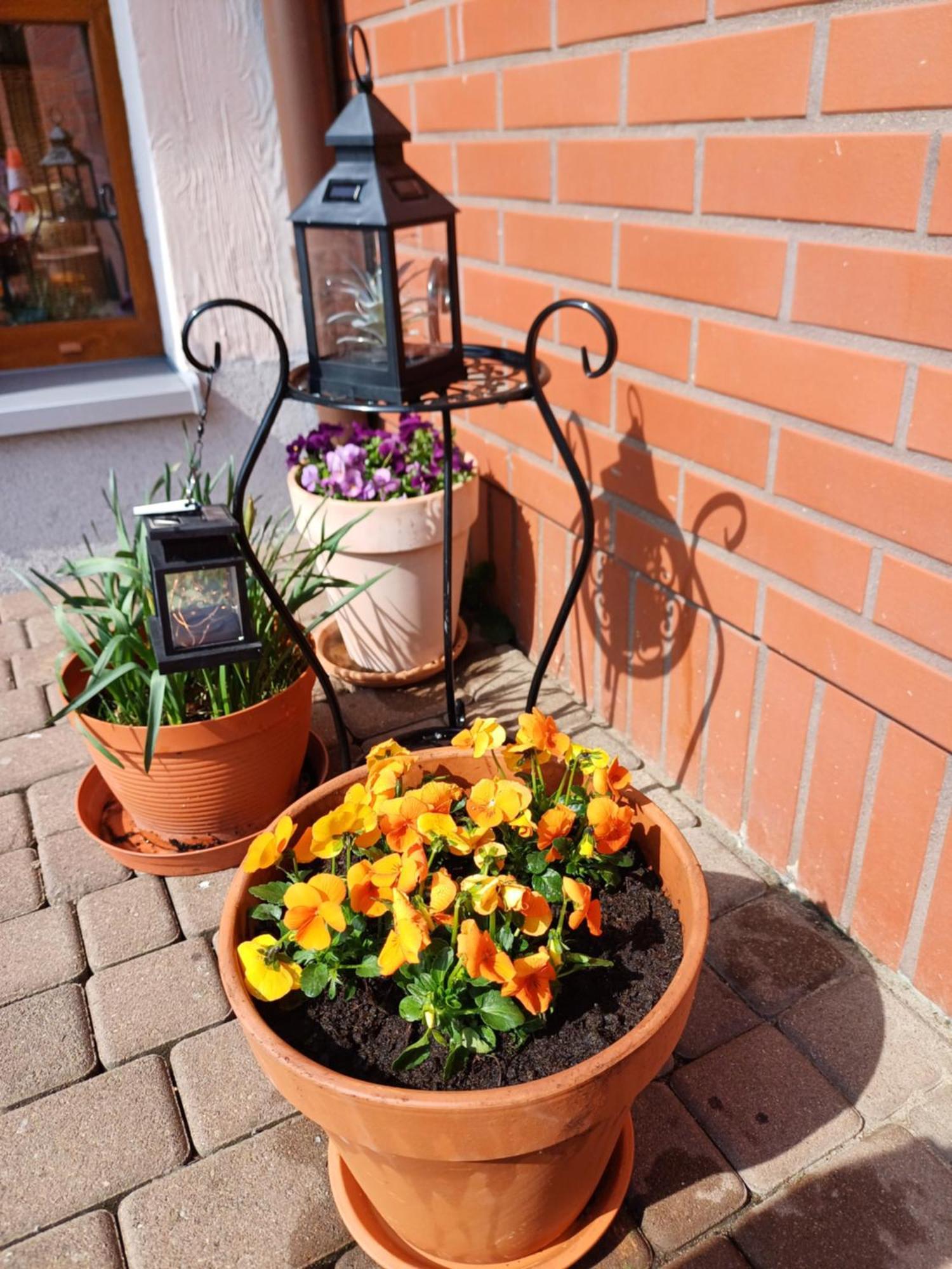 Apartment Levilla