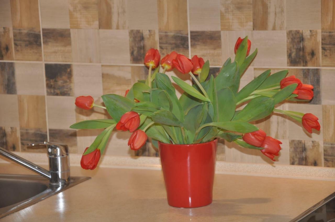 Apartment Levilla Rewa
